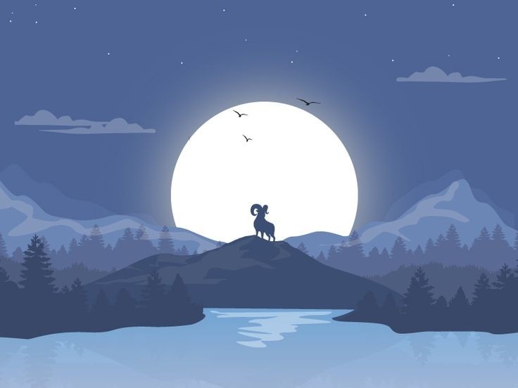 Messi's profile header background