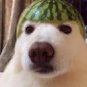 Profile picture of egnix on GOAT.uz